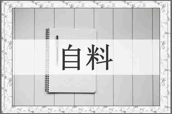 自料