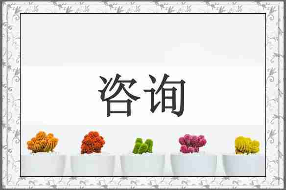 咨询