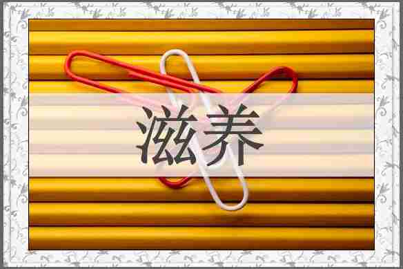 滋养