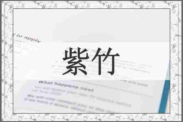 紫竹