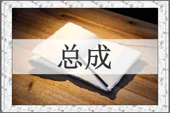总成