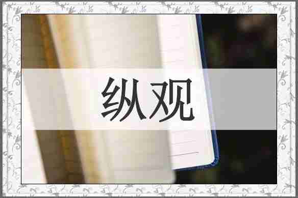 纵观