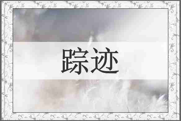 踪迹