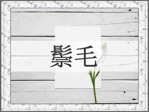 鬃毛