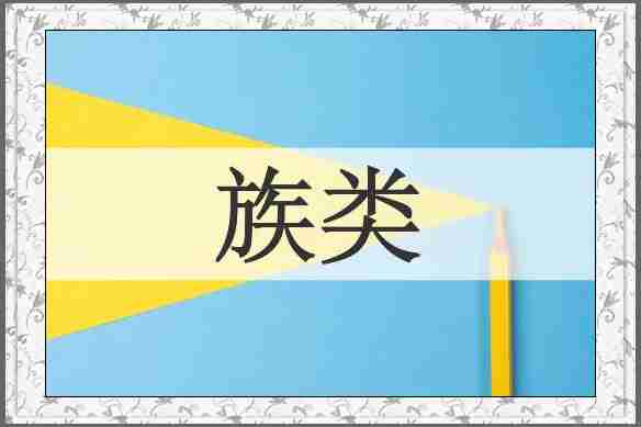 族类