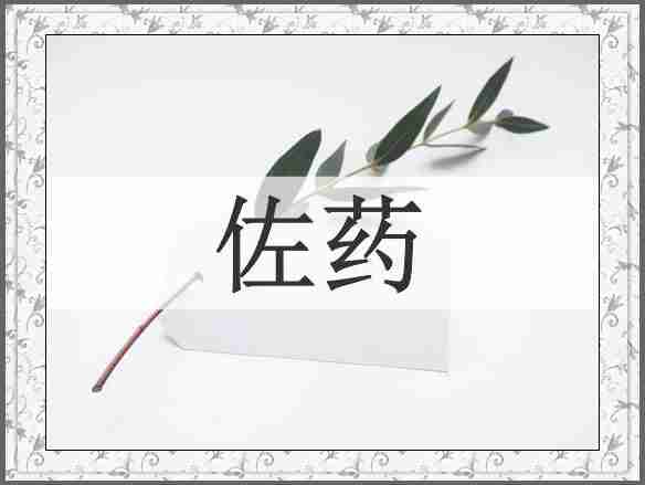 佐药