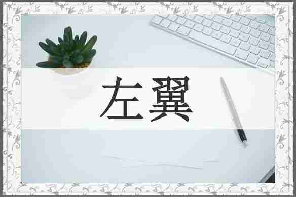 左翼