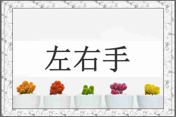 左右手