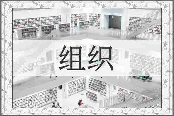 组织