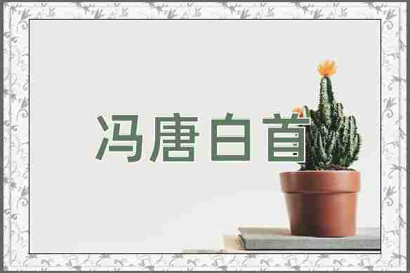 成语冯唐白首