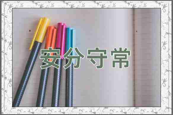 成语安分守常