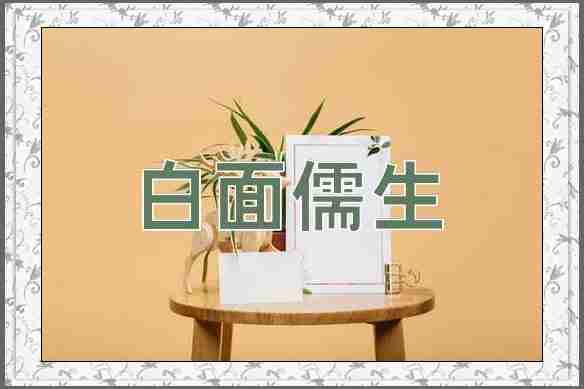 成语白面儒生