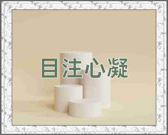 成语目注心凝
