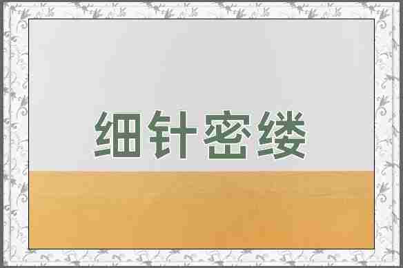 成语细针密缕